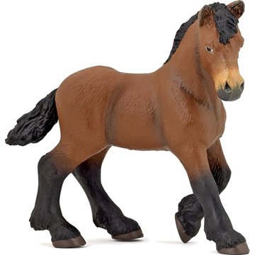

PAPO Hříbě ardénského tažného koně