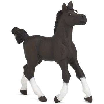 

PAPO Arabský kůň mládě