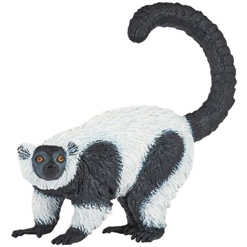 

PAPO Lemur Vari