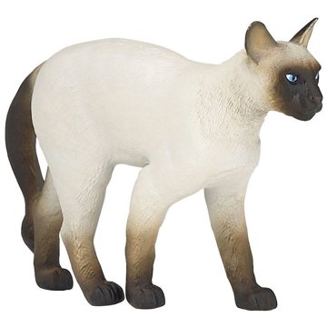 

PAPO Kočka siamská