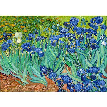 

Enjoy Vincent Van Gogh: Kosatce 1000 dílků
