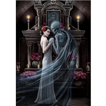 

ART PUZZLE Kolekce Anne Stokes: Navždy 1000 dílků