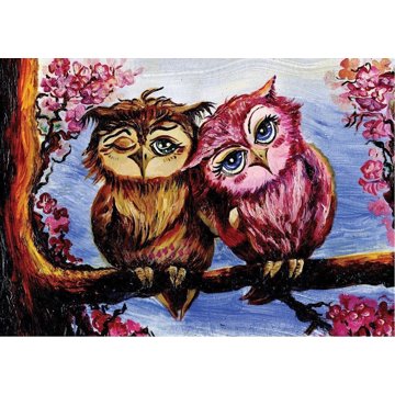 

ART PUZZLE Puzzle Zamilované sovy 1000 dílků