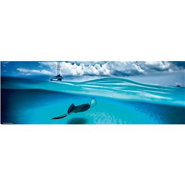 

HEYE Panoramatické puzzle Rejnok (Kajmanské ostrovy) 1000 dílků