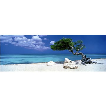 

HEYE Panoramatické puzzle Strom Divi Divi (Aruba, Antily) 1000 dílků