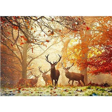 

HEYE Puzzle Kouzelné lesy: Jeleni 1000 dílků
