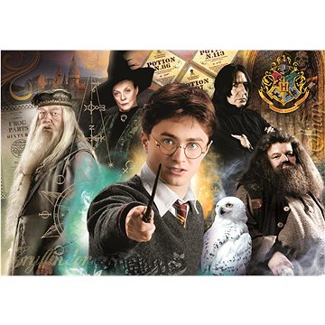 

CLEMENTONI Harry Potter: Učitelé 1000 dílků