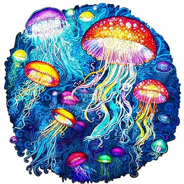 

Manboxeo Dřevěné kreativní puzzle - Barevné Medúzy