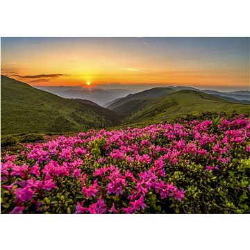 

ENJOY Puzzle Růžový soumrak 1000 dílků