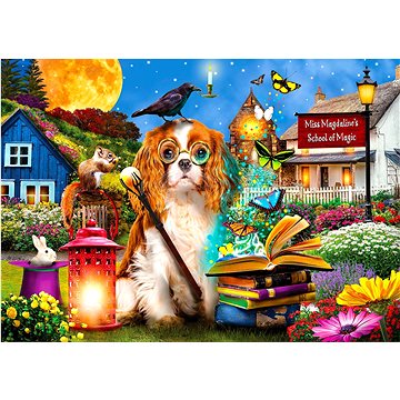 

ENJOY Puzzle Škola kouzel 1000 dílků