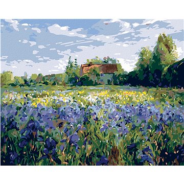 

Diamondi - DŮM NA VENKOVĚ, 40x50 cm, vypnuté plátno na rám