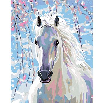 

Diamondi - BÍLÝ KŮŇ, 40x50 cm, bez rámu a bez vypnutí plátna