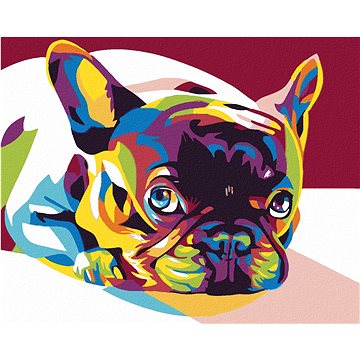 

Diamondi - BAREVNÝ BULDOČEK, 40x50 cm, vypnuté plátno na rám