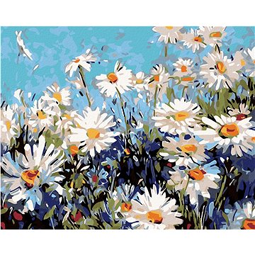 

Diamondi - KOPRETINY, 40x50 cm, bez rámu a bez vypnutí plátna
