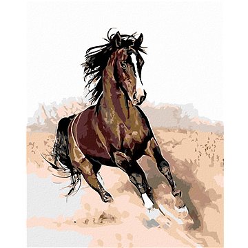 

Diamondi - HNĚDÁK V PÍSKU, 40x50 cm, bez rámu a bez vypnutí plátna