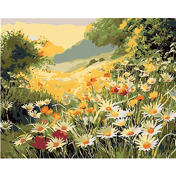 

Diamondi - LETNÍ LOUKA, 40x50 cm, vypnuté plátno na rám