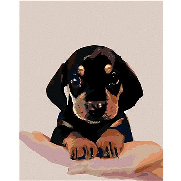

Diamondi - ŠTĚNĚ KRÁTKOSRSTÉHO JEZEVČÍKA, 40x50 cm, vypnuté plátno na rám
