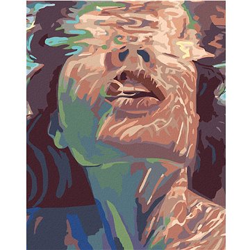 

Diamondi - ŽENA POD VODOU, 40x50 cm, vypnuté plátno na rám