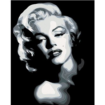 

Diamondi - ČERNOBÍLÁ MARILYN, 40x50 cm, bez rámu a bez vypnutí plátna