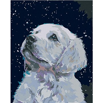 

Diamondi - Diamantové malování - BÍLÉ ŠTĚŇÁTKO, 40x50 cm, bez rámu a bez vypnutí plátna