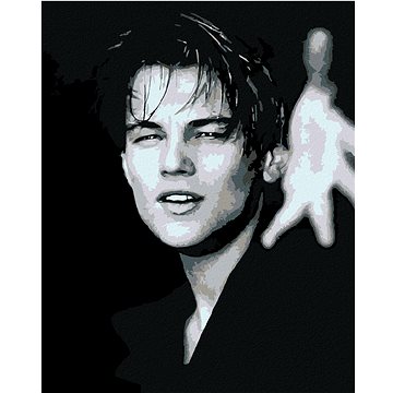 

Diamondi - LEONARDO DICAPRIO, 40x50 cm, bez rámu a bez vypnutí plátna