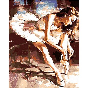 

Diamondi - Diamantové malování - BALETKA, 40x50 cm, bez rámu a bez vypnutí plátna
