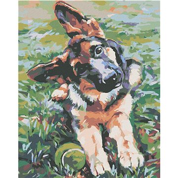 

Diamondi - ŠTĚNĚ OVČÁKA, 40x50 cm, vypnuté plátno na rám