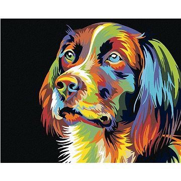 

Diamondi - PES, 40x50 cm, bez rámu a bez vypnutí plátna