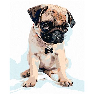 

Diamondi - ROZTOMILÝ MOPSÍK, 40x50 cm, vypnuté plátno na rám