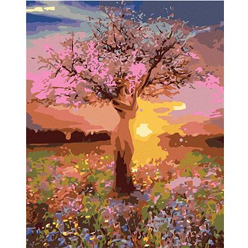 

Diamondi - SVÍTÁNÍ, 40x50 cm, bez rámu a bez vypnutí plátna
