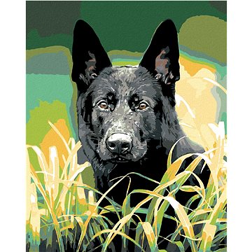 

Diamondi - NĚMECKÝ OVČÁK V TRÁVĚ, 40x50 cm, bez rámu a bez vypnutí plátna