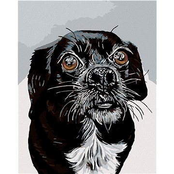 

Diamondi - ČERNOBÍLÝ OŘÍŠEK, 40x50 cm, vypnuté plátno na rám