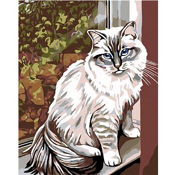 

Diamondi - BÍLÁ KOČKA V OKNĚ, 40x50 cm, bez rámu a bez vypnutí plátna