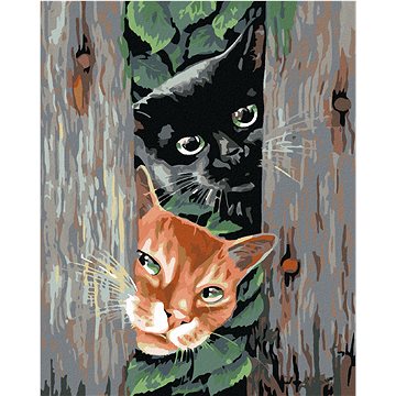 

Diamondi - ČÍHAJÍCÍ KOČKY, 40x50 cm, bez rámu a bez vypnutí plátna