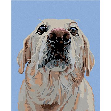 

Diamondi - LABRADOR, 40x50 cm, bez rámu a bez vypnutí plátna