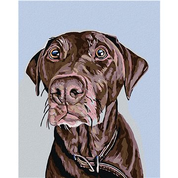 

Diamondi - HNĚDÝ PES S HNĚDÝM OBOJKEM, 40x50 cm, bez rámu a bez vypnutí plátna