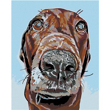 

Diamondi - PES S VELKÝM ČUMÁČKEM, 40x50 cm, bez rámu a bez vypnutí plátna