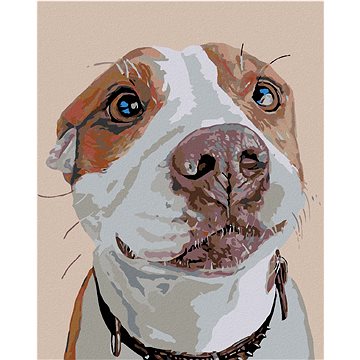 

Diamondi - ČEKAJÍCÍ PES, 40x50 cm, vypnuté plátno na rám