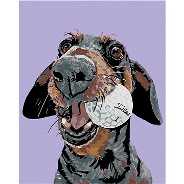 

Diamondi - PES S GOLFOVÝM MÍČKEM, 40x50 cm, bez rámu a bez vypnutí plátna