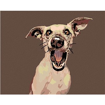 

Diamondi - PŘEKVAPENÝ PES, 40x50 cm, bez rámu a bez vypnutí plátna
