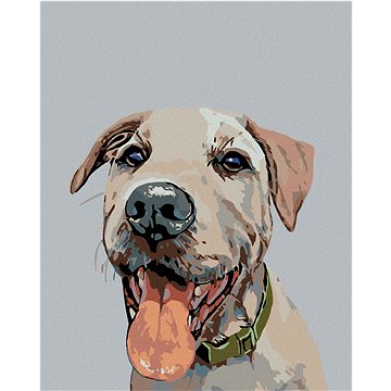 

Diamondi - PES SE ZELENÝM OBOJKEM, 40x50 cm, vypnuté plátno na rám