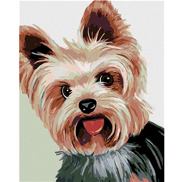 

Diamondi - JORKŠÍREK II, 40x50 cm, vypnuté plátno na rám