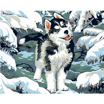 

Diamondi - MALÝ HUSKY, 40x50 cm, bez rámu a bez vypnutí plátna