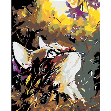 

Diamondi - KOČKA V LUČNÍM KVÍTÍ, 40x50 cm, bez rámu a bez vypnutí plátna