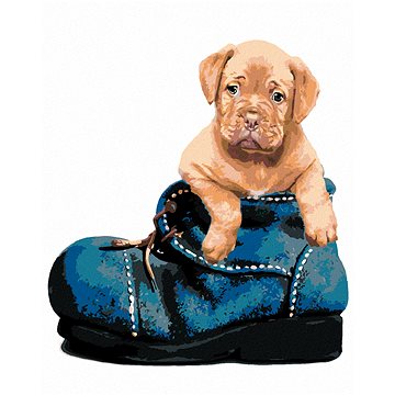 

Diamondi - ŠTĚNĚ V BOTĚ, 40x50 cm, bez rámu a bez vypnutí plátna