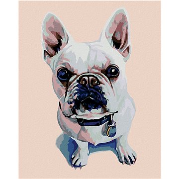 

Diamondi - BÍLÝ BULDOČEK S MODRÝM OBOJKEM, 40x50 cm, bez rámu a bez vypnutí plátna