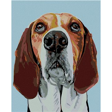 

Diamondi - BÍGL, 40x50 cm, vypnuté plátno na rám