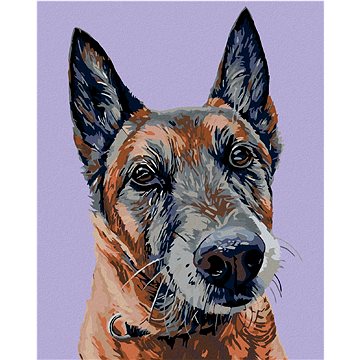

Diamondi - STARÝ VLČÁK, 40x50 cm, vypnuté plátno na rám