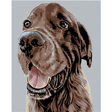 

Diamondi - KRÁSNÝ HNĚDÝ SETR, 40x50 cm, bez rámu a bez vypnutí plátna