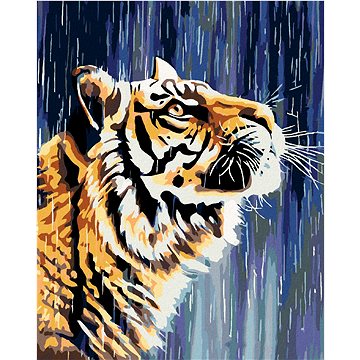 

Diamondi - Diamantové malování - TYGR U VODOPÁDU, 40x50 cm, Vypnuté plátno na rám
